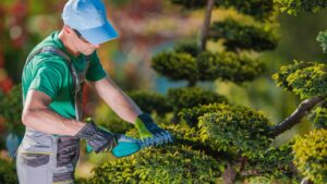 Landscaper Contractor in Westchester County, NY